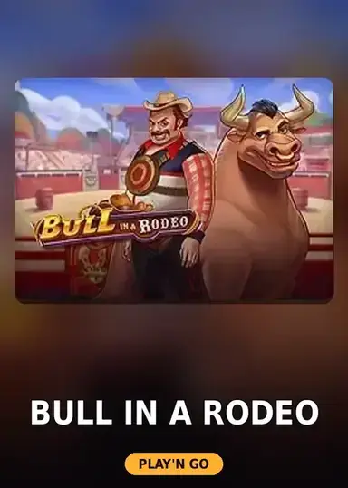 Bull in a Rodeo
