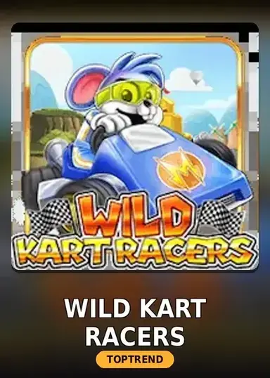 Wild Kart Racers