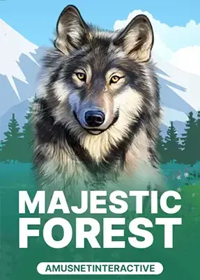 Majestic Forest
