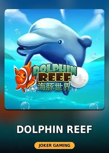 Dolphin Reef