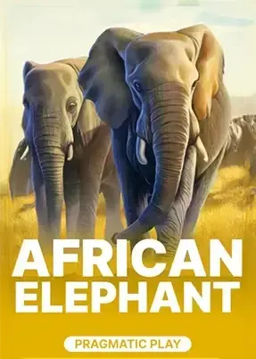 African Elephant