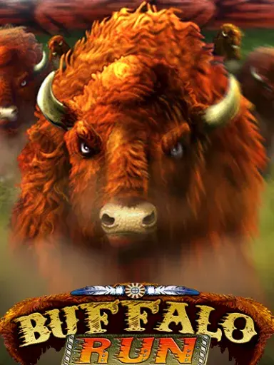 Buffalo Run