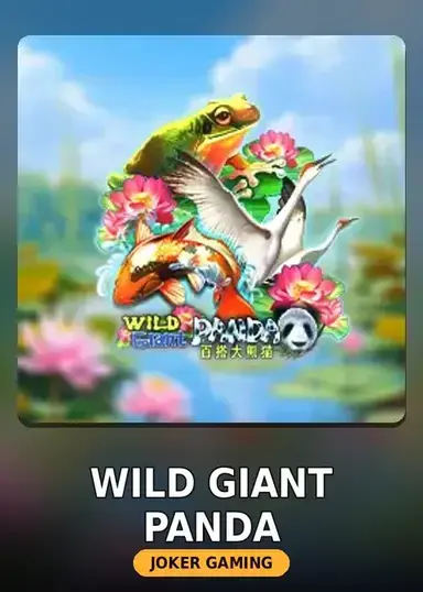 Wild Giant Panda