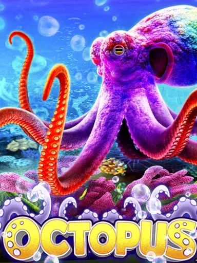 Octopus