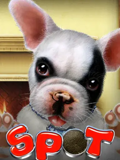 Spot
