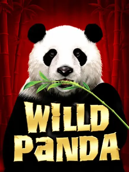 WildPanda