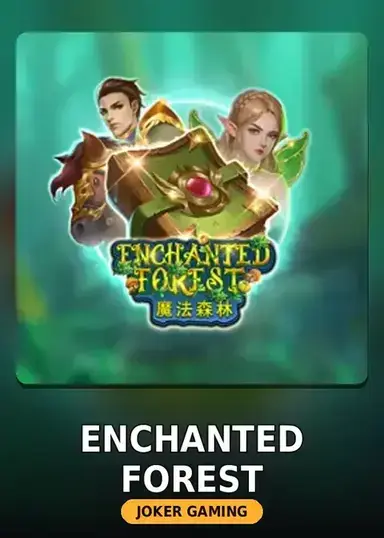 Enchanted Forest