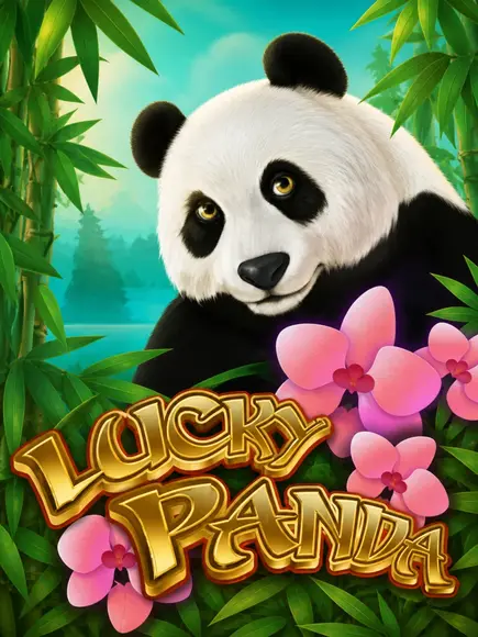 Lucky Panda