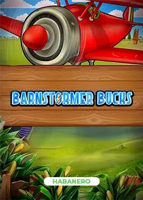 Barnstormer Bucks