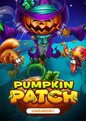 Pumpkin Patch