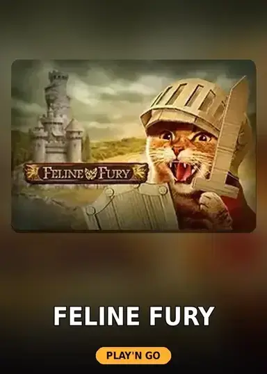 Feline Fury