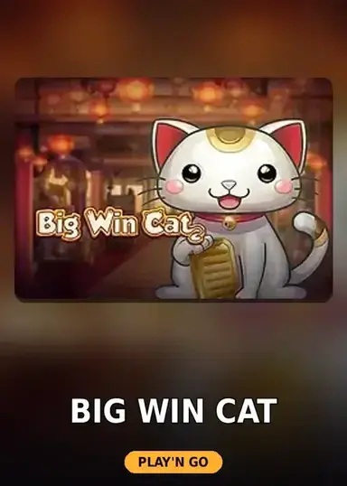Big Win Cat