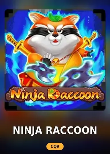Ninja Raccoon