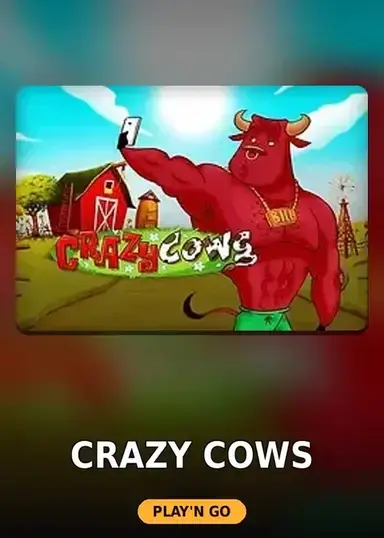 Crazy Cows
