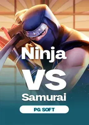 Ninja vs Samurai
