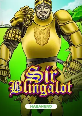 Sir Blingalot