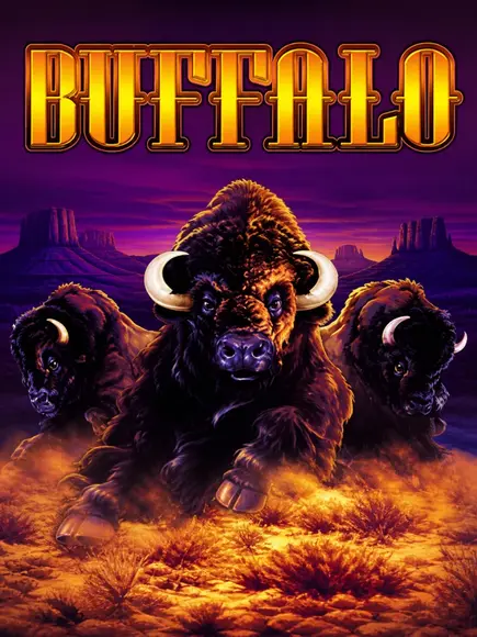 buffalo