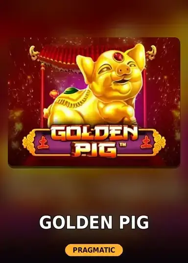 Golden Pig